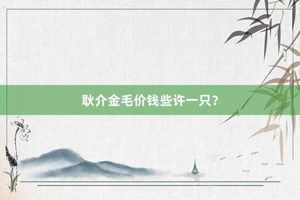 耿介金毛价钱些许一只？